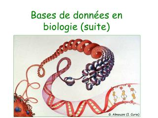 Bases de données en biologie (suite)