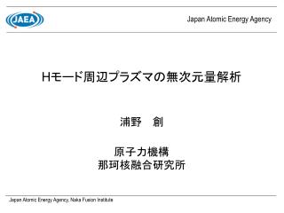 H モード周辺プラズマの無次元量解析