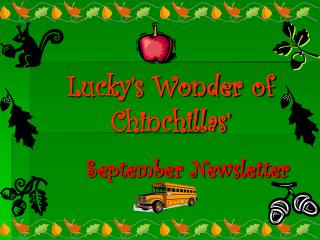 Lucky’s Wonder of Chinchillas’