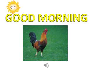 GOOD MORNING