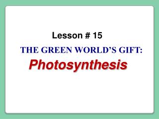 Photosynthesis