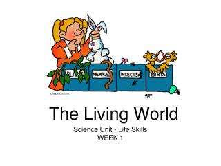 The Living World