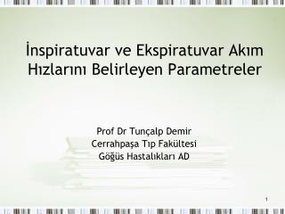 İnspiratuvar ve Ekspiratuvar Akım Hızlarını Belirleyen Parametreler