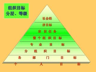 社会经 济目标 宗 旨 任 务 整 个 组 织 目 标 专 业 目 标