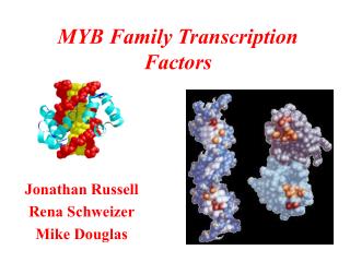 MYB Family Transcription Factors