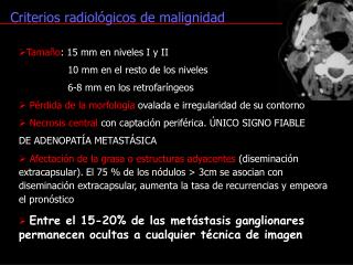 Tamaño : 15 mm en niveles I y II 10 mm en el resto de los niveles