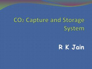 CO 2 Capture and Storage System