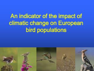 An indicator of the impact of climatic change on European bird populations