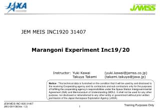 JEM MEIS INC1920 31407 Marangoni Experiment Inc19/20