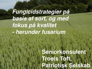 Fungicidstrategier på basis af sort, og med fokus på kvalitet - herunder fusarium