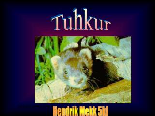 Tuhkur