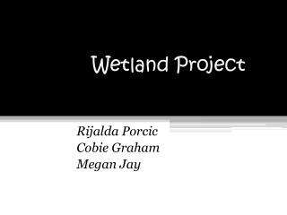 Wetland Project