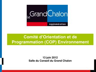 Comité d’Orientation et de Programmation (COP) Environnement
