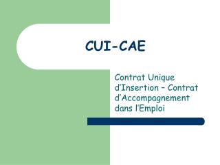 CUI-CAE