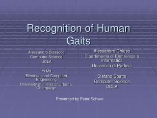 Recognition of Human Gaits