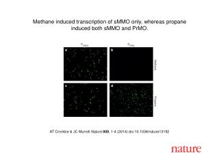 AT Crombie &amp; JC Murrell Nature 000 , 1-4 (2014) doi:10.1038/nature13192