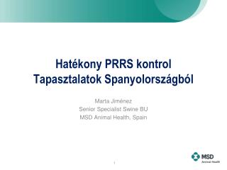 Hatékony PRRS kontrol Tapasztalatok Spanyolországból