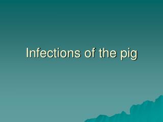 Infections of the pig