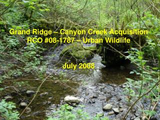 Grand Ridge – Canyon Creek Acquisition RCO #08-1787 – Urban Wildlife July 2008