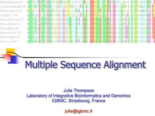 Multiple Sequence Alignment