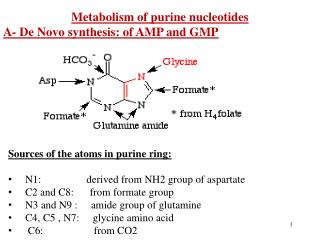 Metabolism of purine nucleotides A- De Novo synthesis: of AMP and GMP