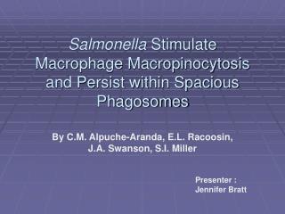 Salmonella Stimulate Macrophage Macropinocytosis and Persist within Spacious Phagosomes