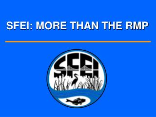 SFEI: MORE THAN THE RMP