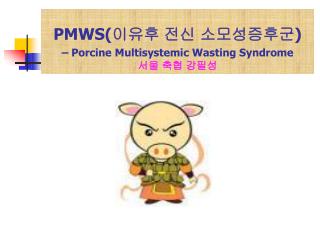 PMWS( 이유후 전신 소모성증후군 ) – Porcine Multisystemic Wasting Syndrome 서울 축협 강필성