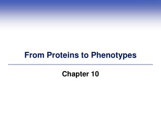 From Proteins to Phenotypes