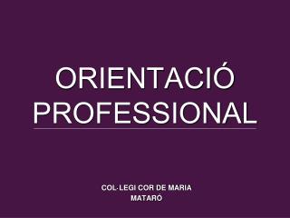 ORIENTACIÓ PROFESSIONAL