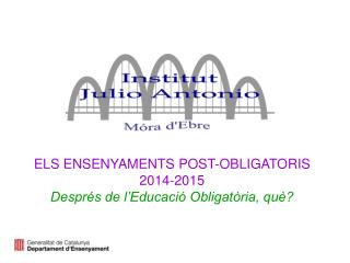 ELS ENSENYAMENTS POST-OBLIGATORIS 2014-2015 Després de l’Educació Obligatòria, què?