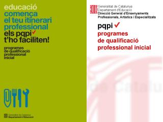 pqpi programes de qualificació professional inicial