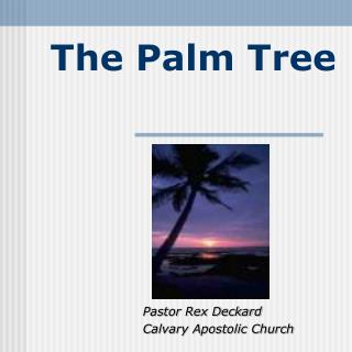 The Palm Tree