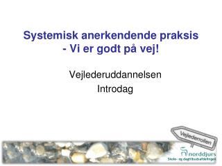 Systemisk anerkendende praksis - Vi er godt på vej!