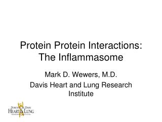 Protein Protein Interactions: The Inflammasome