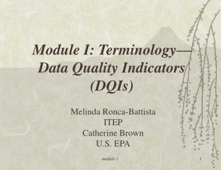 Module I: Terminology— Data Quality Indicators (DQIs)