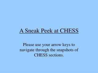 A Sneak Peek at CHESS