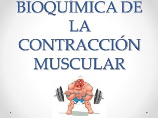 BIOQUÍMICA DE LA CONTRACCIÓN MUSCULAR