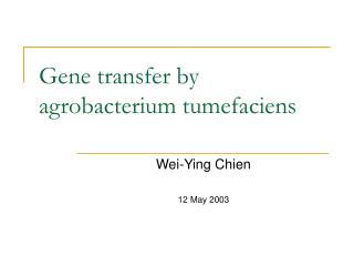 Gene transfer by agrobacterium tumefaciens