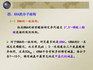 四、 RNA 的分子结构