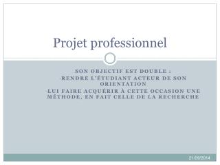 Projet professionnel