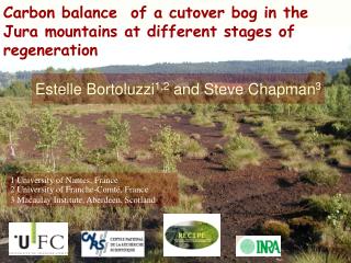Carbon balance of a cutover bog in the Jura mountains at different stages of regeneration