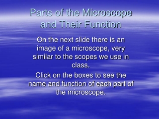 Parts of the Microscope and Their Function