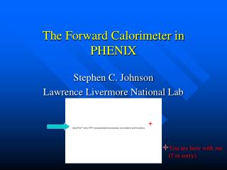 The Forward Calorimeter in PHENIX