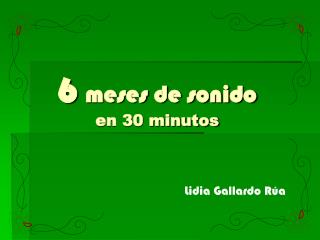 6 meses de sonido en 30 minutos