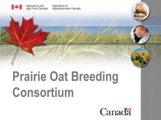 Prairie Oat Breeding Consortium