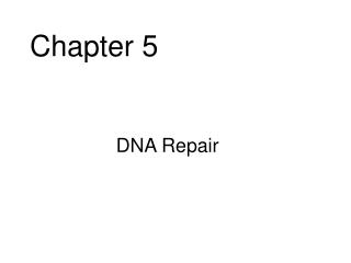 Chapter 5