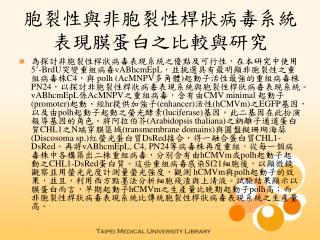 胞裂性與非胞裂性桿狀病毒系統表現膜蛋白之比較與研究