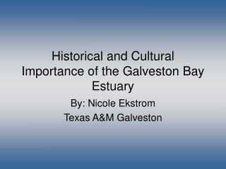 Historical and Cultural Importance of the Galveston Bay Estuary