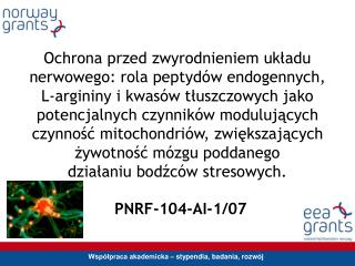 PNRF-104-AI-1/07